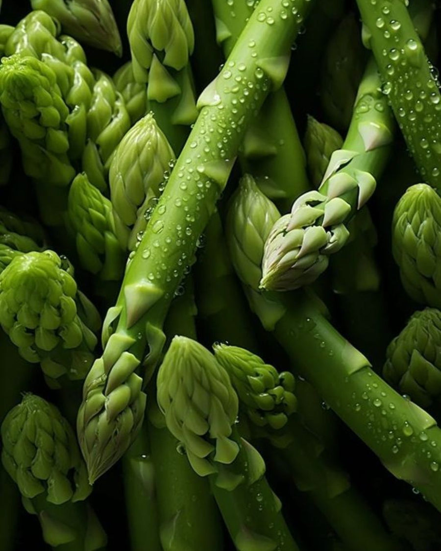 Inulin (Prebiotics)
