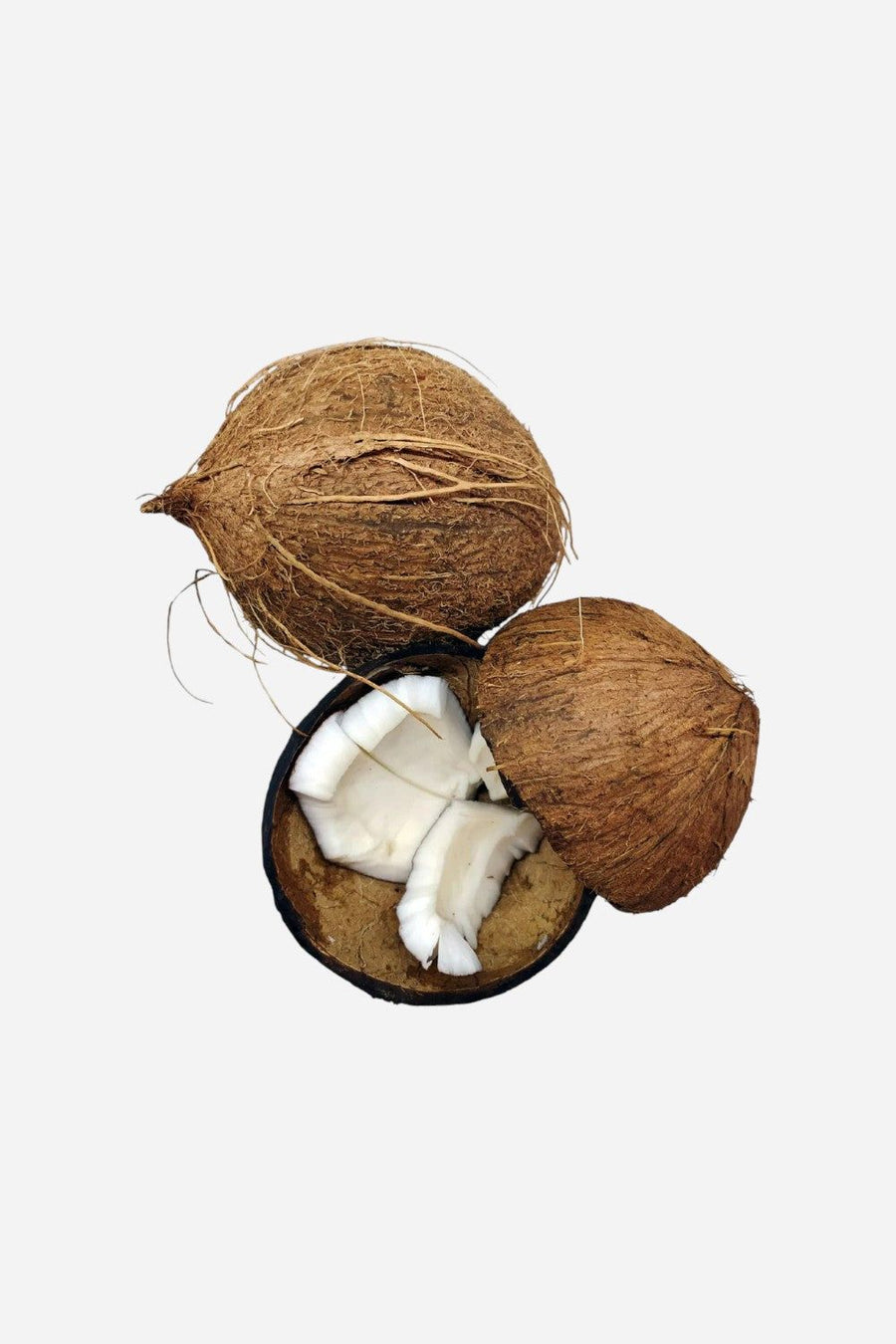 Coconut Oil Powder (MCTs)
